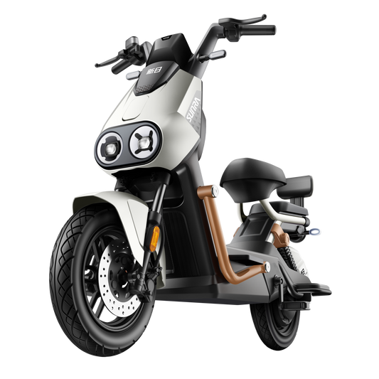Bike Igoma GTI